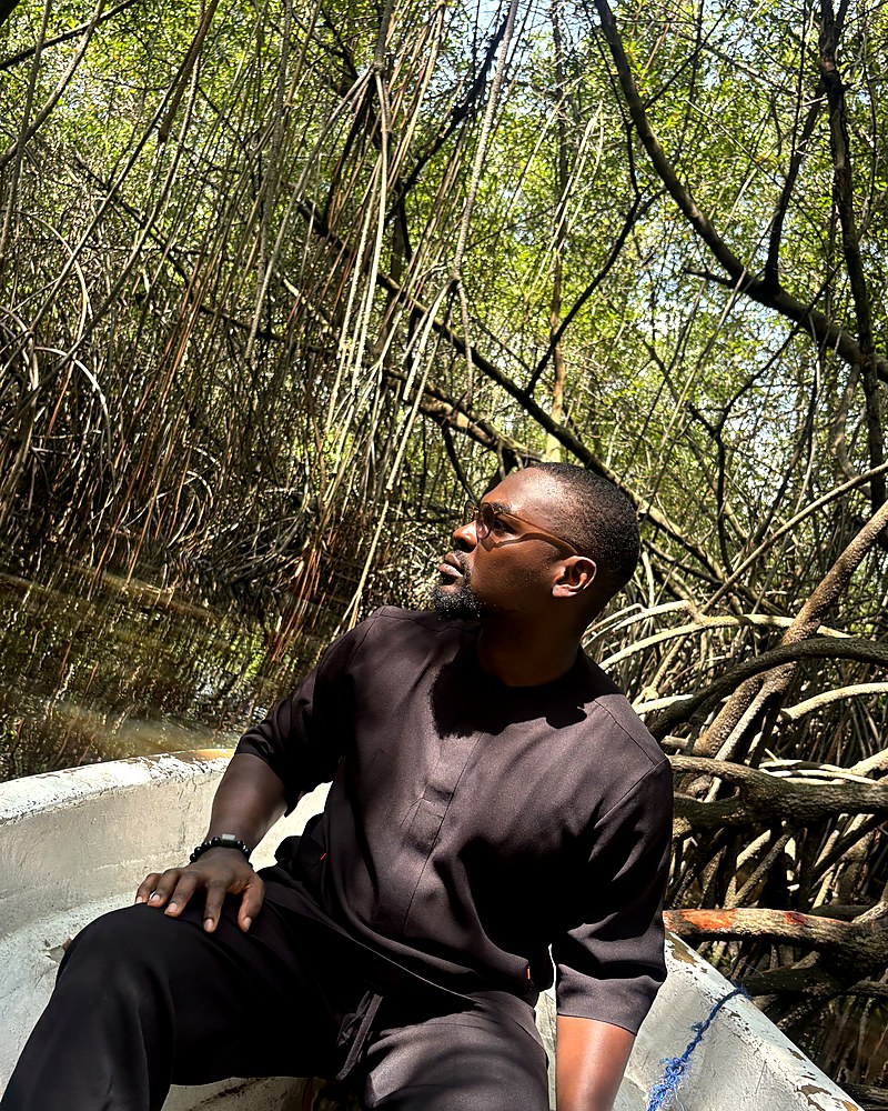 Mangrove boat experience — exploring West Africa's waterways by boat